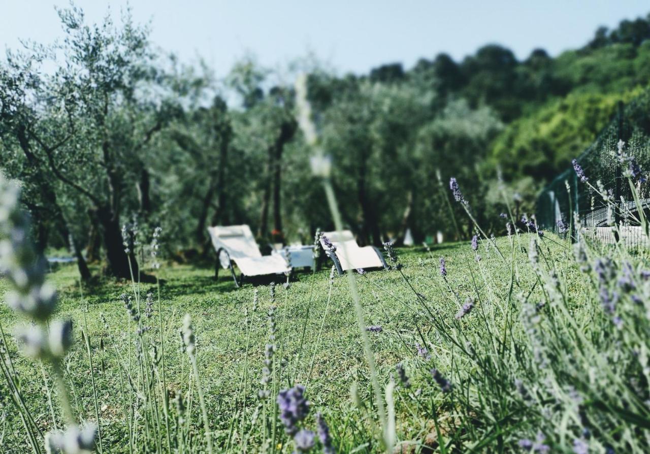 Al Gattosaggio Bed and Breakfast Montecarlo Exterior foto