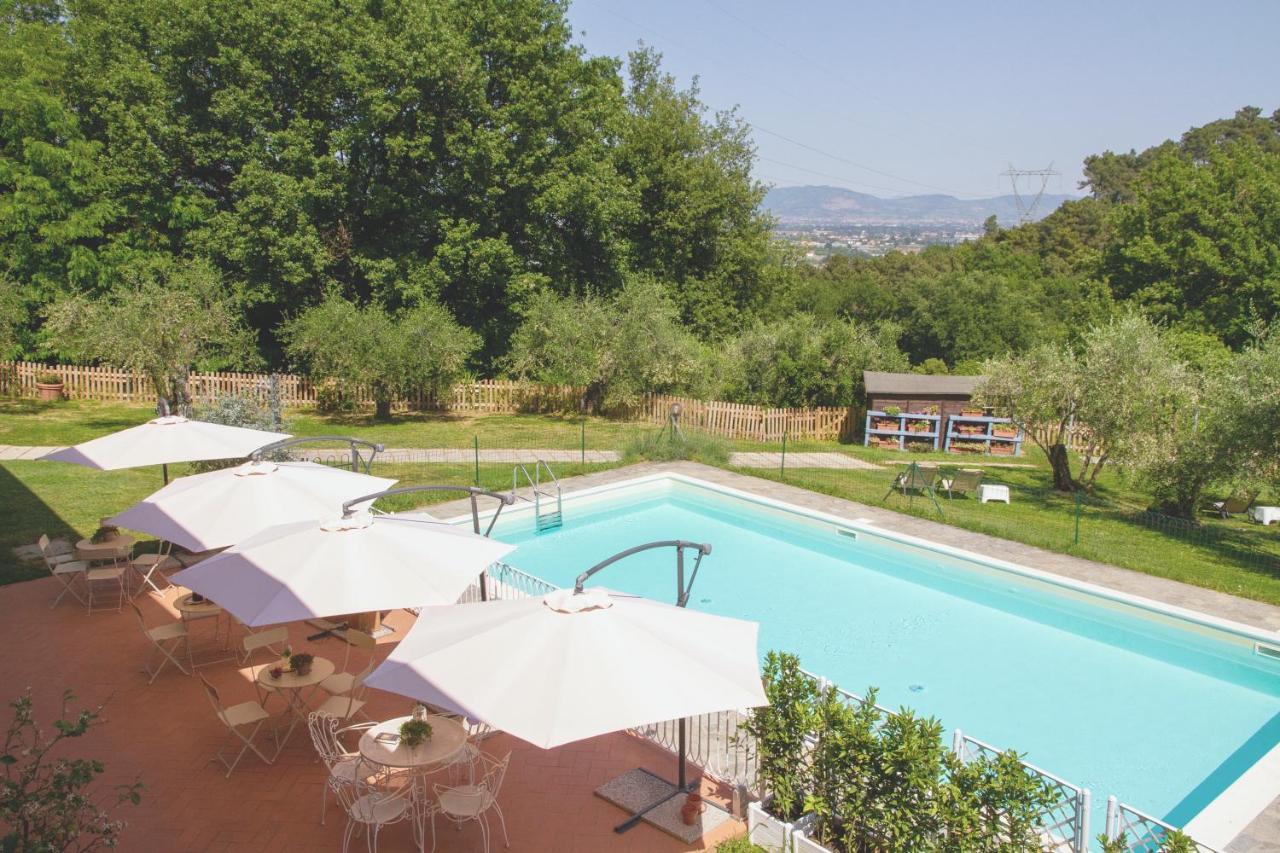 Al Gattosaggio Bed and Breakfast Montecarlo Exterior foto