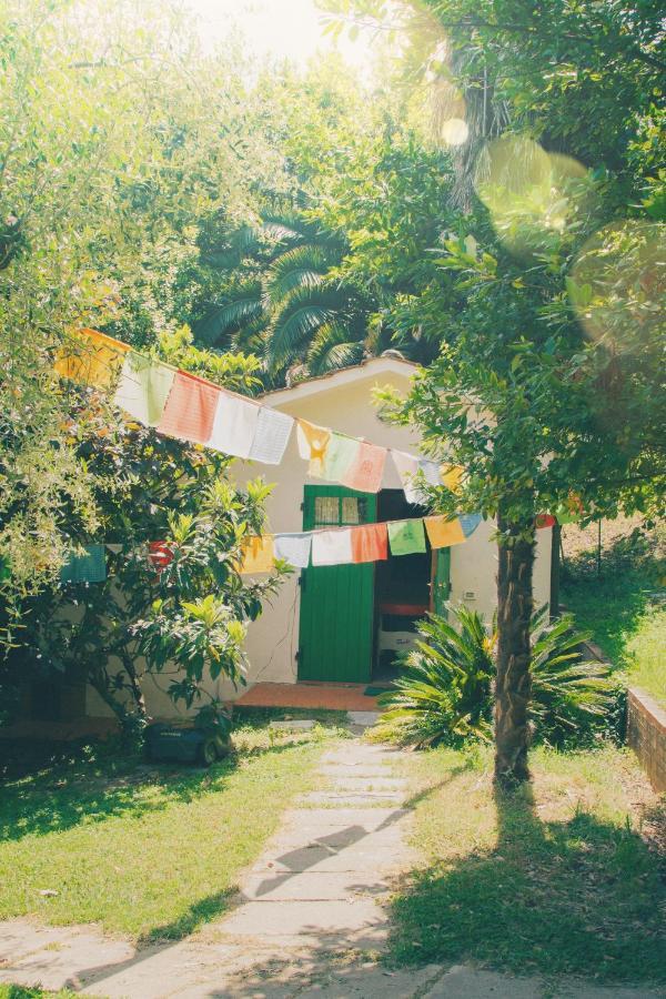 Al Gattosaggio Bed and Breakfast Montecarlo Exterior foto