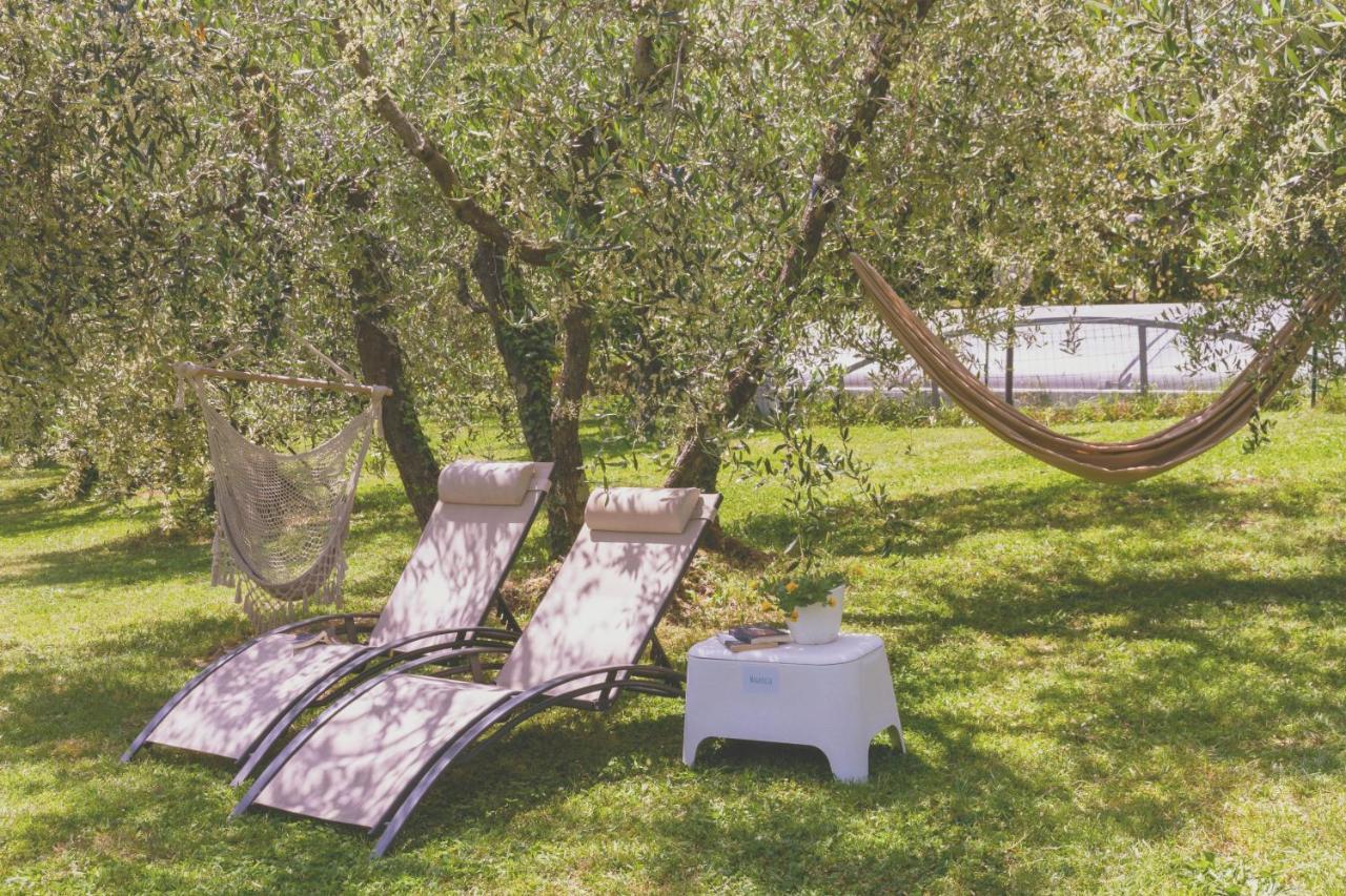 Al Gattosaggio Bed and Breakfast Montecarlo Exterior foto