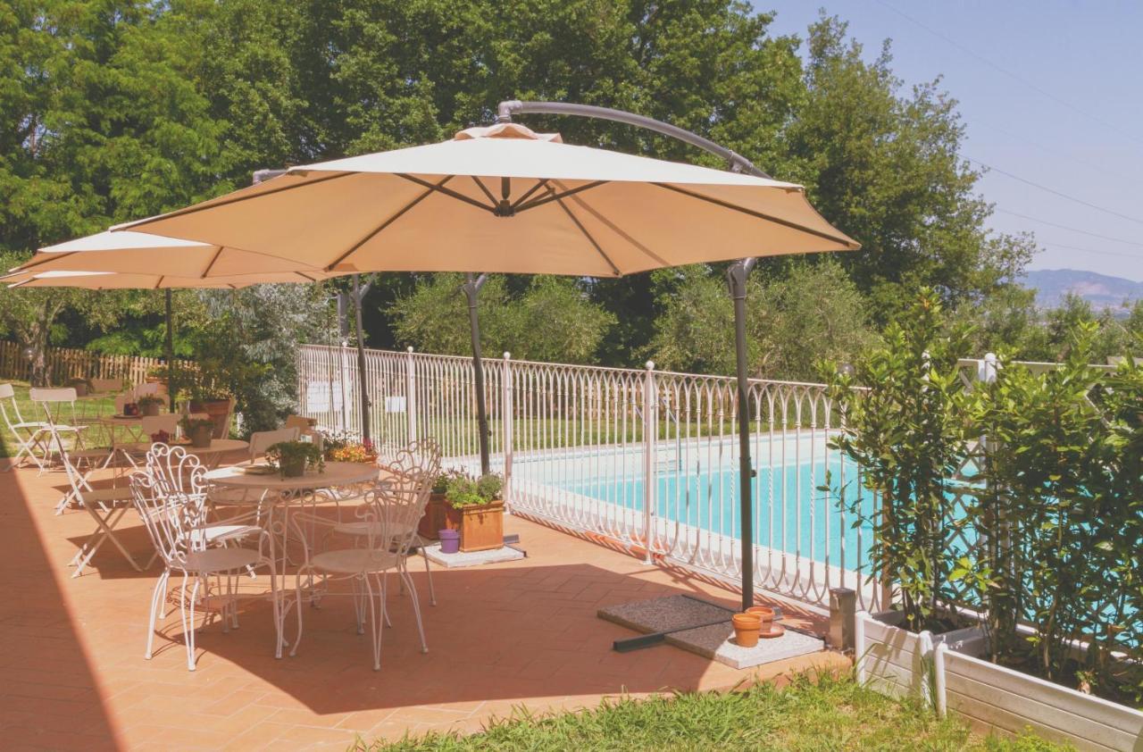 Al Gattosaggio Bed and Breakfast Montecarlo Exterior foto